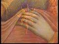 o carmelo   maria exemplo de amor   4ª parte