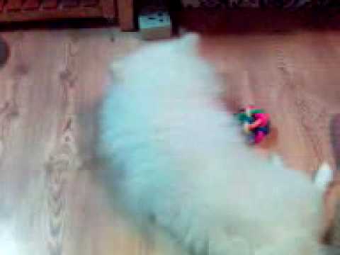 See video