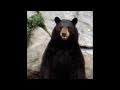 Opie & Anthony: Jim Norton Animal Rants