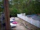 Humming bird wars