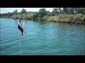Nile Cruise