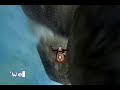 エバークエスト２動画：EQ2 That's Progress