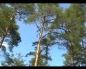 battle-royale-gotland-part-2-of-2-the-battle.html