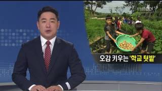 뉴스데스크