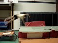 vrille educatif gym