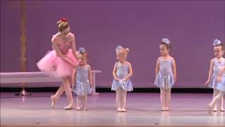 The Flower Ball - Bluebells