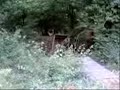 filipe dh felgueiras