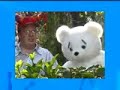 Bobby The Bi-Polar Bear