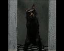 Clip from show reel Clip from show reel