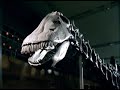 walking with dinosaurs sp 1 the ballad of big al  1 of 3 