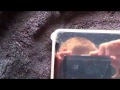 HP Slate (Windows 7) videopreview
