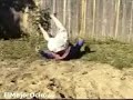 mortal kombat