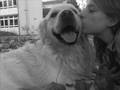 videos de Me and Rocci :))