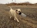 MOV01345
