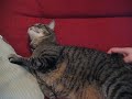 A Fiz cure for an itch A Fiz cure for an itch