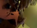 My Fist your Mouth her Scars (Cover by kiV.in) My Fist your Mouth her Scars (Cover by kiV.in)