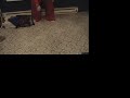 Katie's Ball Trix 1