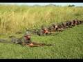 canção do exercito