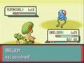 Pokemon Emerald Walkthrough Part 14