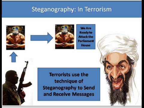 how to practice stenography
