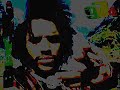 blacko solitary lion