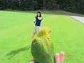 Sun Conure First Flights Outdoors