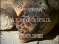 CAMPAMENTO INTERNACIONAL DE TORTUGAS