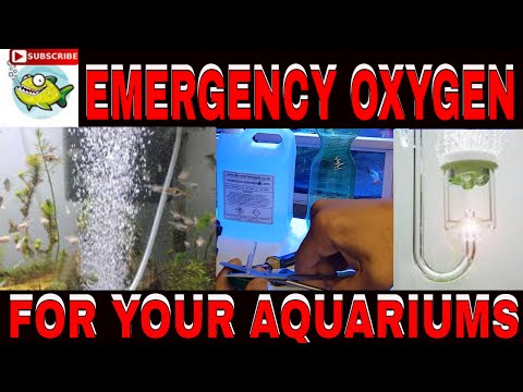 video-linktoworks-DIY EMERGENCY OXYGEN FOR YOUR AQUARIUM