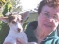 these are some of the animals that come into the care of nsw animal rescue.  most arriving malnourished and frightened, a product of neglect and abuse.