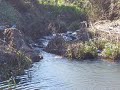 Basuras y vertidos en el rio Granda