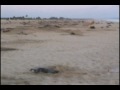 Centre Mexicain de la tortue