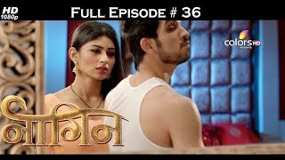 Naagin - Full Episode 36 - With English Subtitles
