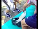 società pesca sportiva \"I BRACCONIERI\" società pesca sportiva \"I BRACCONIERI\"