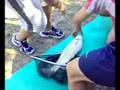 società pesca sportiva I BRACCONIERI