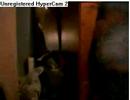 Tkc Leader hopper616 dancing irl