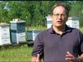 Virginia Farm Bureau - Dying Bees