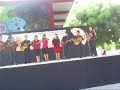 el jilguero el jilguero