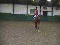 Selano@ Wedstrijd Hemmen M1 dressuur