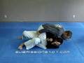 Knee to Elbow Escape:... View Video