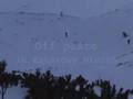 Zakopane off piste 