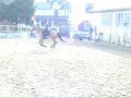 Saut Kerrison