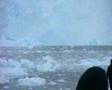 Antarctic glacier collapse