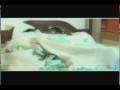 Top 5 African Videos 2 WWWTHEM2SHOWCOM