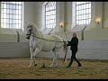 je tiens � offrir ce montage fait de mes propres mains � tous les fans de chevaux
voila bonne vid�o!
http://world-equin.skyrock.com
http://dream-your-world.superforum.fr
