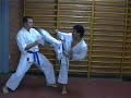karate do for beginners mawashi geri karate do for beginners mawashi geri