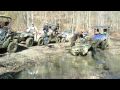Skyline Wildlife Management Area Ride & The Town of Stevenson Alabama