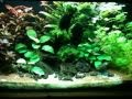 112liter Südamerika Becken