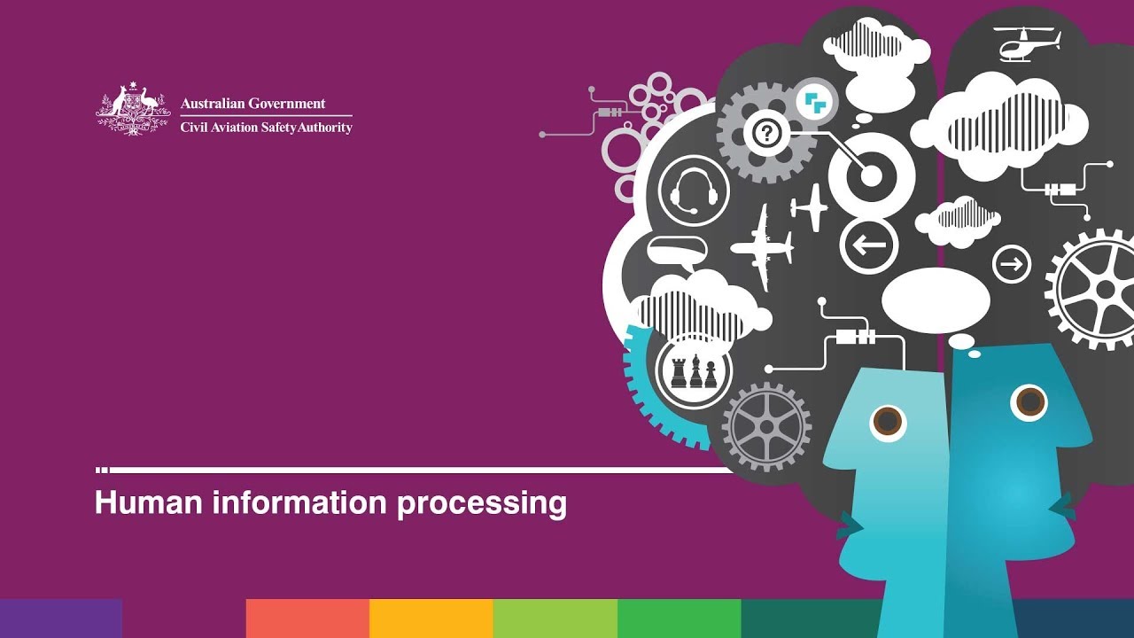 Human factors for pilots - Human information processing