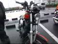 Postponed Sportster meeting KANTO 07 JAPAN shin883.com