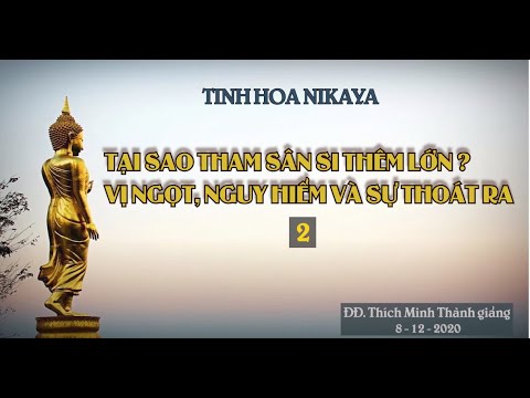 Tinh Hoa NIKAYA - TẠI SAO THAM SÂN SI THÊM LỚN ? VỊ NGỌT, NGUY HIỂM VÀ SỰ THOÁT RA 2